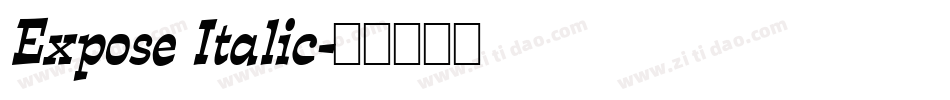Expose Italic字体转换